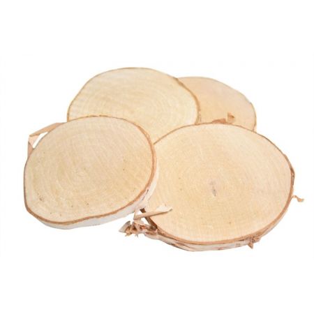 Basic Birch Slice 10pc D8.5 Wood