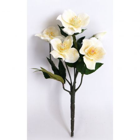 Helleborus creme - l35cm 125701 cream