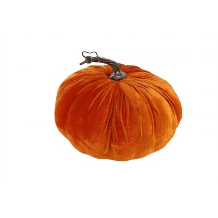 Pumpkin Velvet H15D24 Orange