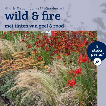 Geel-rode tuin - 12 m2