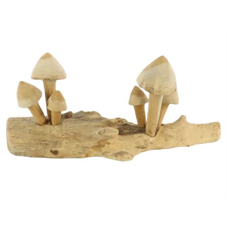 Mushroom Teak L50W14H20 Wood