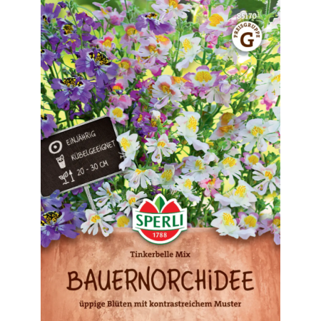 bauernorchidee 'tinkerbelle mix'