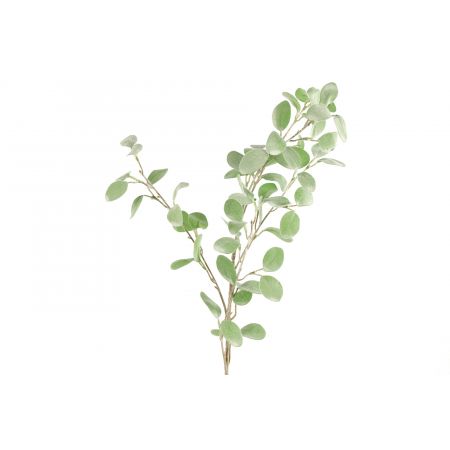 Eucalyptus groen L20B20H89CM