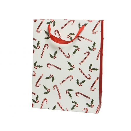 Giftbag papier met handvat fsc 100% wit/kleur(en) L.16cm x W.42cm x H.48cm