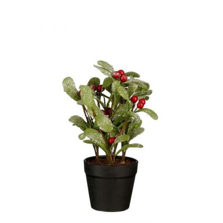 Bessen in pot groen - h20xd10cm