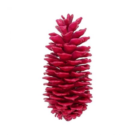 Pinecone Sugar Wax Slv L35 Fuchsia